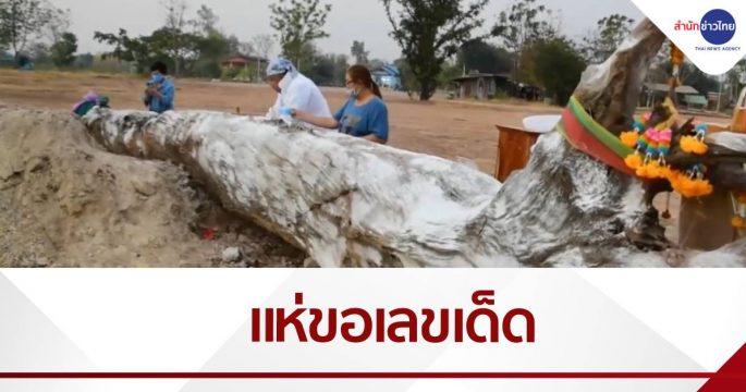 คอหวยแห่ขอเลขเด็ดต้นตะเคียนทอง