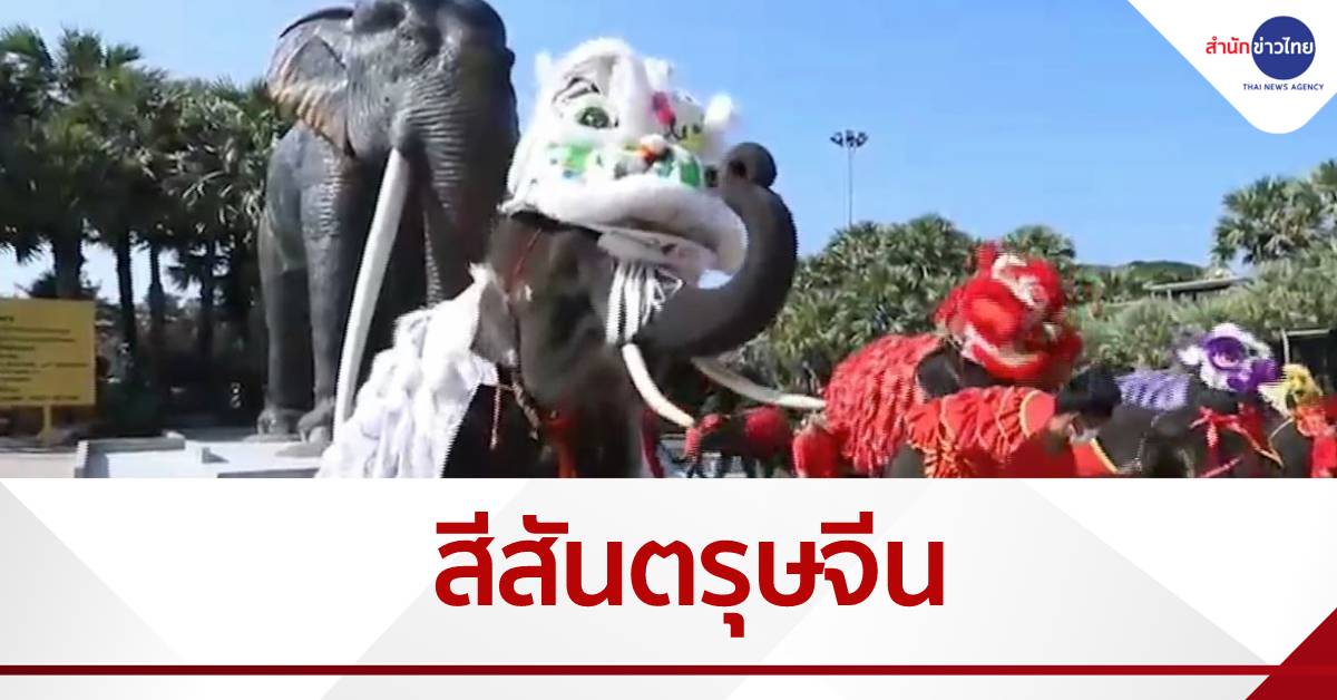 สีสันตรุษจีน ช้างเชิดสิงโต