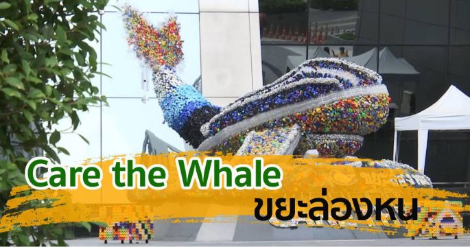 Care the Whale ขยะล่องหน