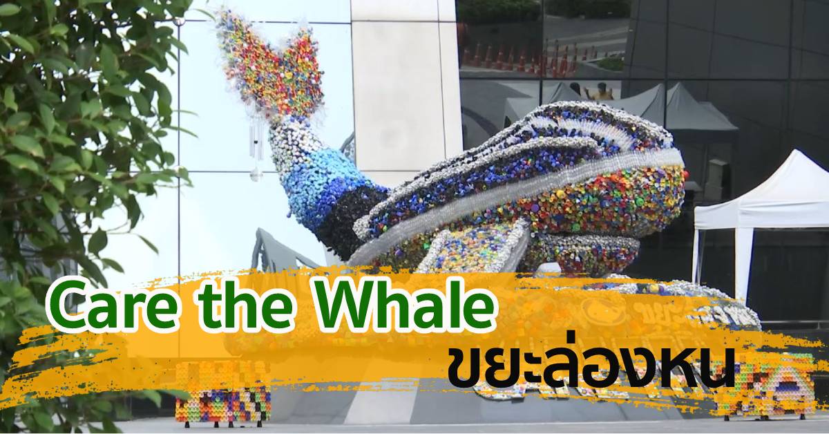 Care the Whale ขยะล่องหน