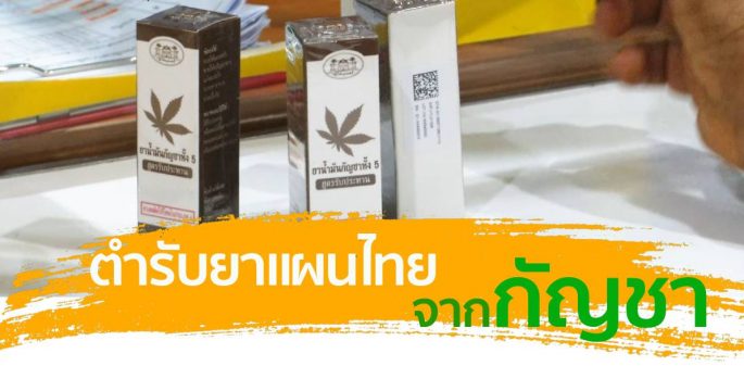 พัฒนาตำรับยาแผนไทยจากกัญชา