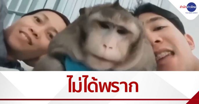 กรมอุทยานฯ ยันไม่ได้พราก “ก็อตซิลล่า” เจ้าของมอบให้ดูแลรักษา