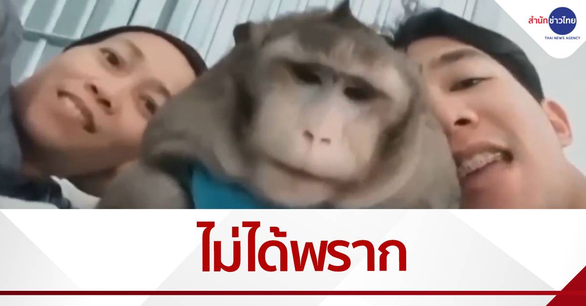 กรมอุทยานฯ ยันไม่ได้พราก “ก็อตซิลล่า” เจ้าของมอบให้ดูแลรักษา