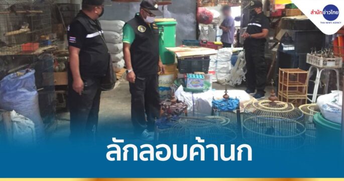 ลักลอบค้านก สัตว์ป่าคุ้มครอง