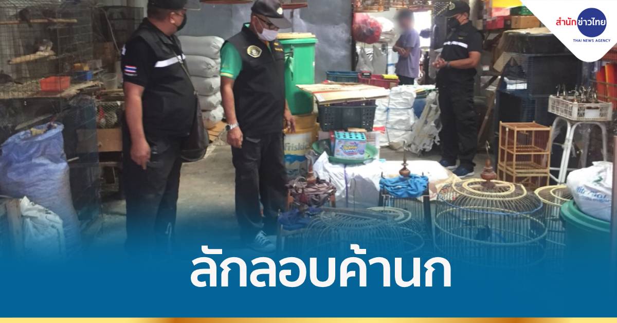 ลักลอบค้านก สัตว์ป่าคุ้มครอง