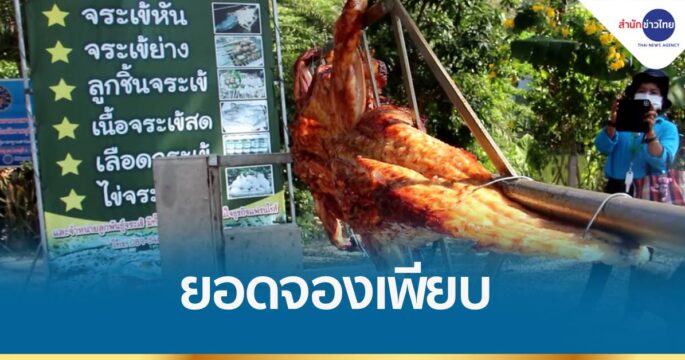 หมูแพง เนื้อจระเข้ขายดี ยอดจองพุ่ง
