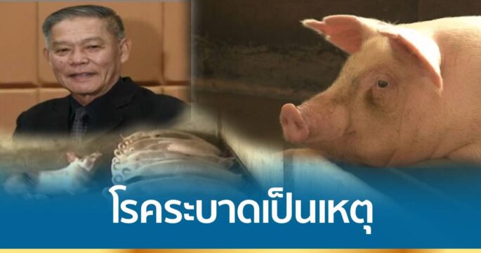 นายกสมาคมผู้เลี้ยงสุกรฯ ชี้โรคระบาดทำราคาเนื้อหมูแพง