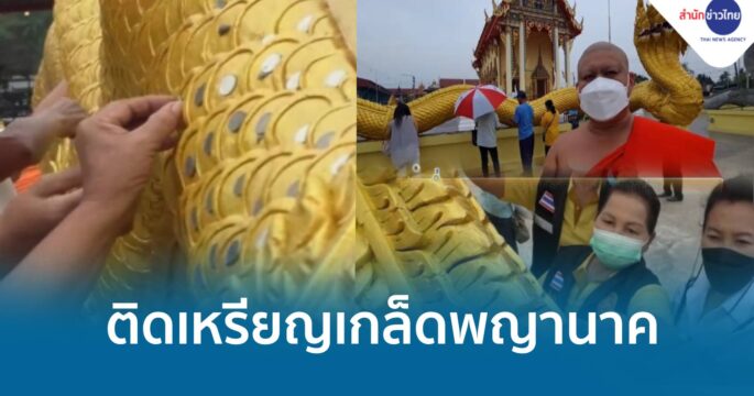 ติดเหรียญเกล็ดพญานาค