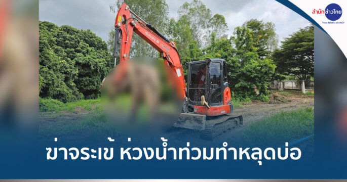 ฆ่าจระเข้
