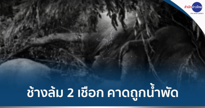 น้ำพัดช้างล้ม
