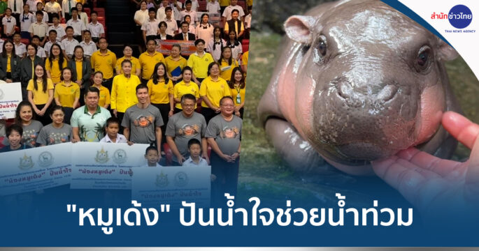 หมูเด้ง