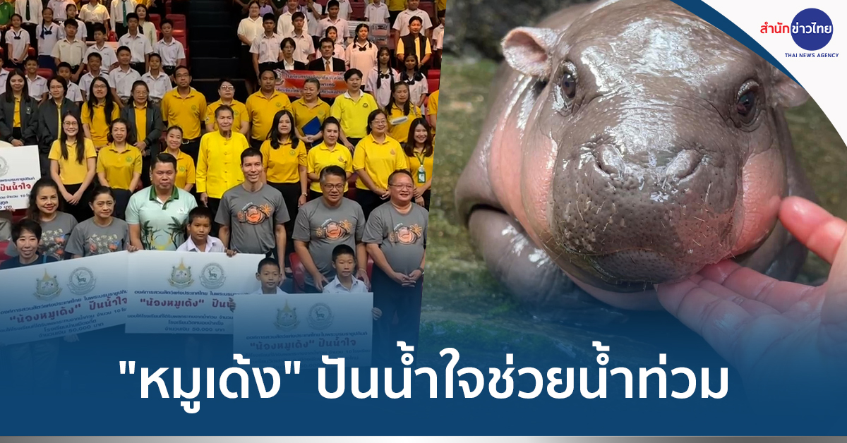 หมูเด้ง