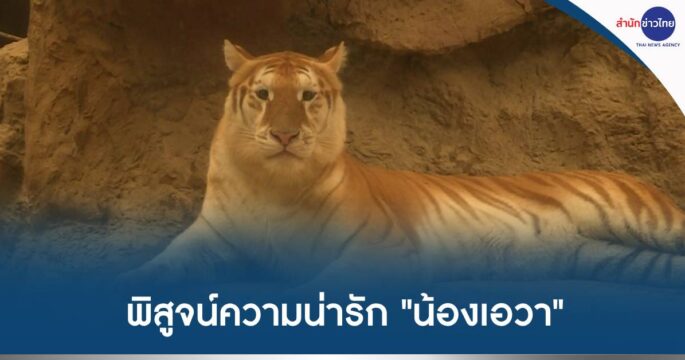 น้องเอวา
