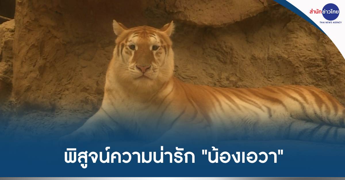 น้องเอวา