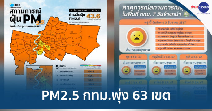 ฝุ่นpm
