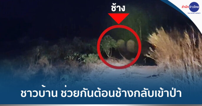 ช้างป่าทับลาน