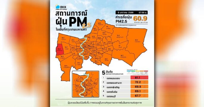 ฝุ่นpm