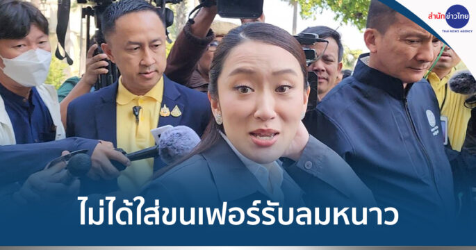 ใส่ขนเฟอร์