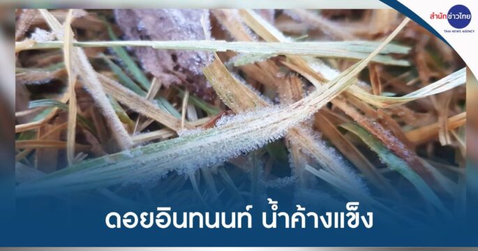 น้ำค้างแข็งดอยอินทนนท์