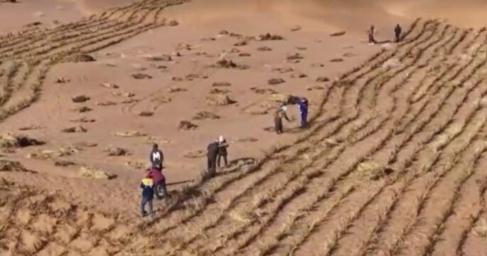 sand control efforts in Inner Mongolia