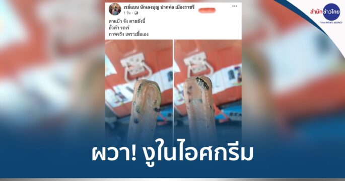 ไอติมงูเขียว