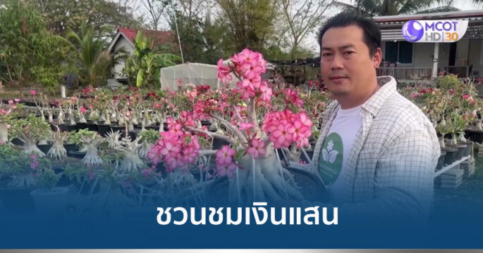เลี้ยงชวนชม