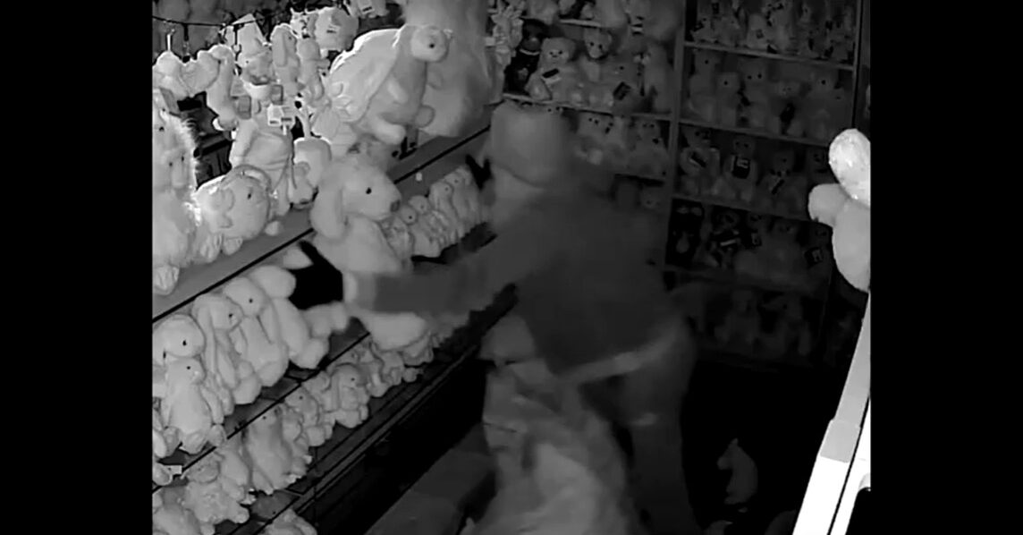Thieves steal £20,000 worth of Jellycat toys out of English store