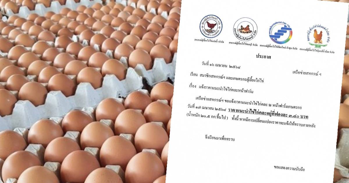 ไข่ไก่ขึ้นราคา
