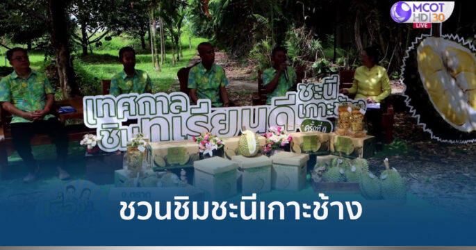 ทุเรียนชะนีเกาะช้าง