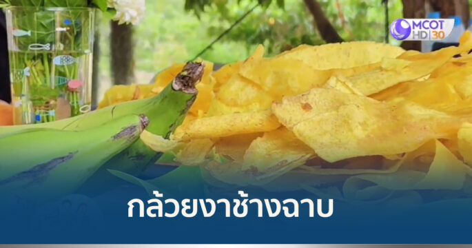 กล้วยงาช้าง