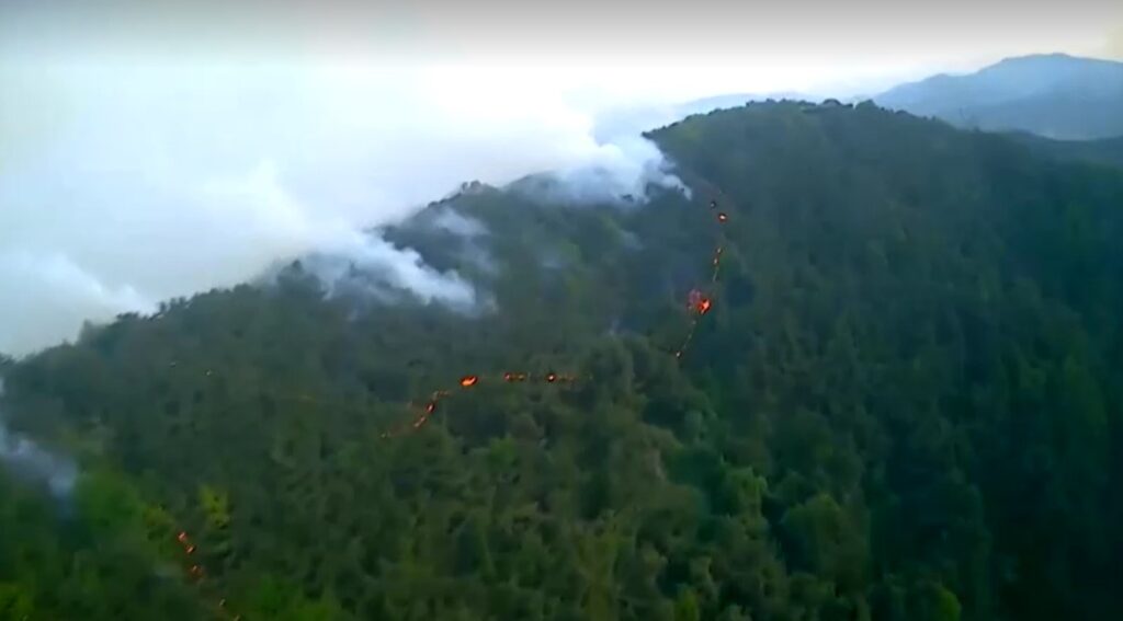 forest fires in South Korea
