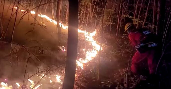 Firefighters in South Korea work to curb forest fires