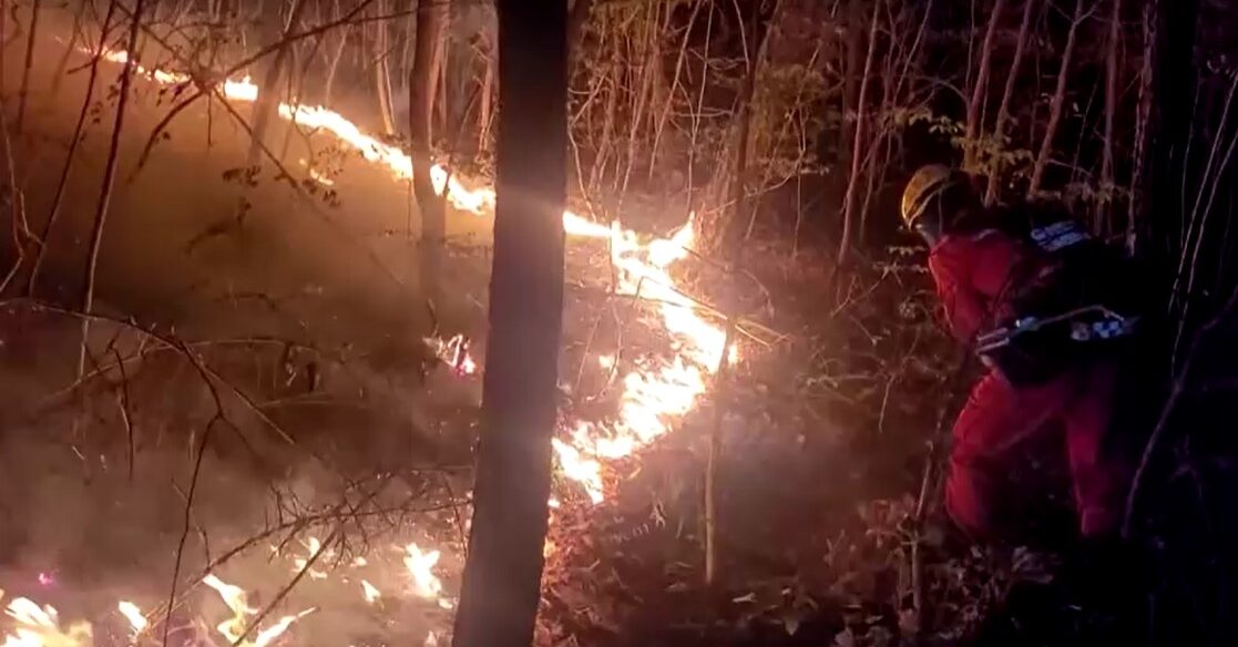 Firefighters in South Korea work to curb forest fires