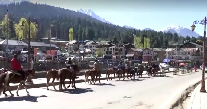 horses in Pahalgam, India