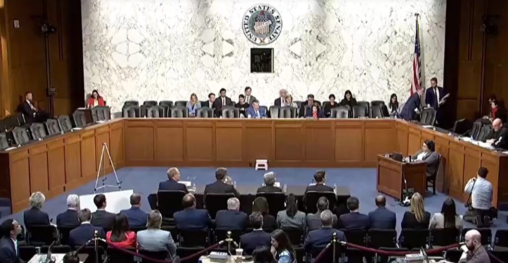 Top executives at American AI giants said at a U.S. Senate hearing