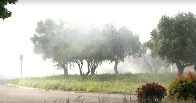 toxic cloud released in northern Spain after fire at chemical plant