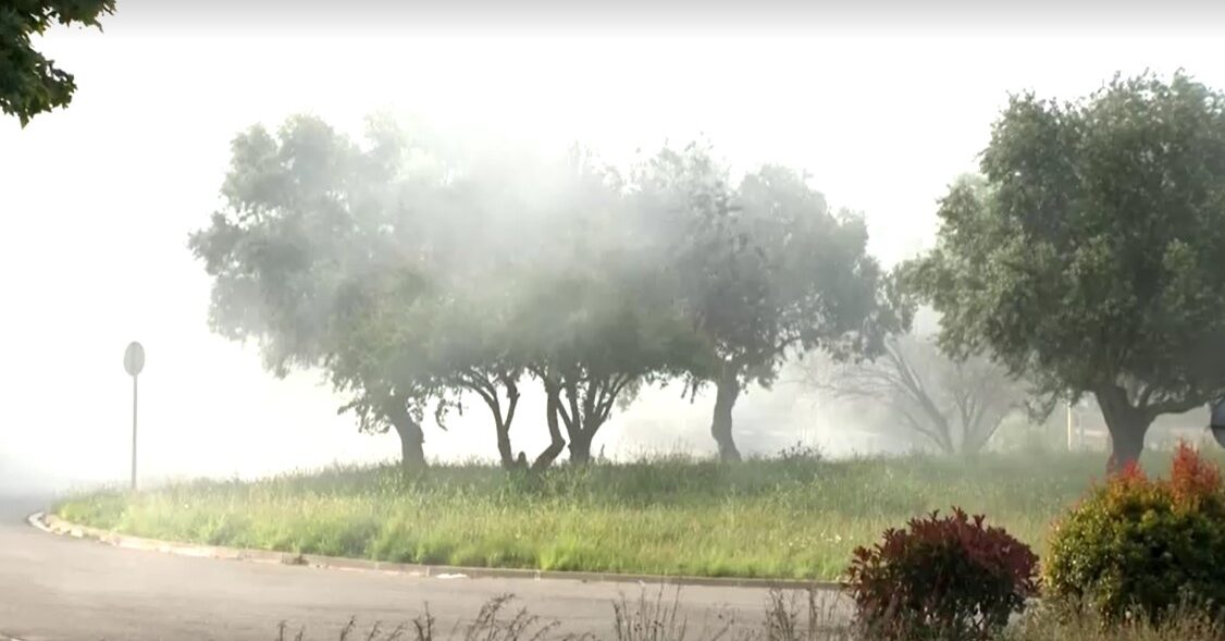 toxic cloud released in northern Spain after fire at chemical plant
