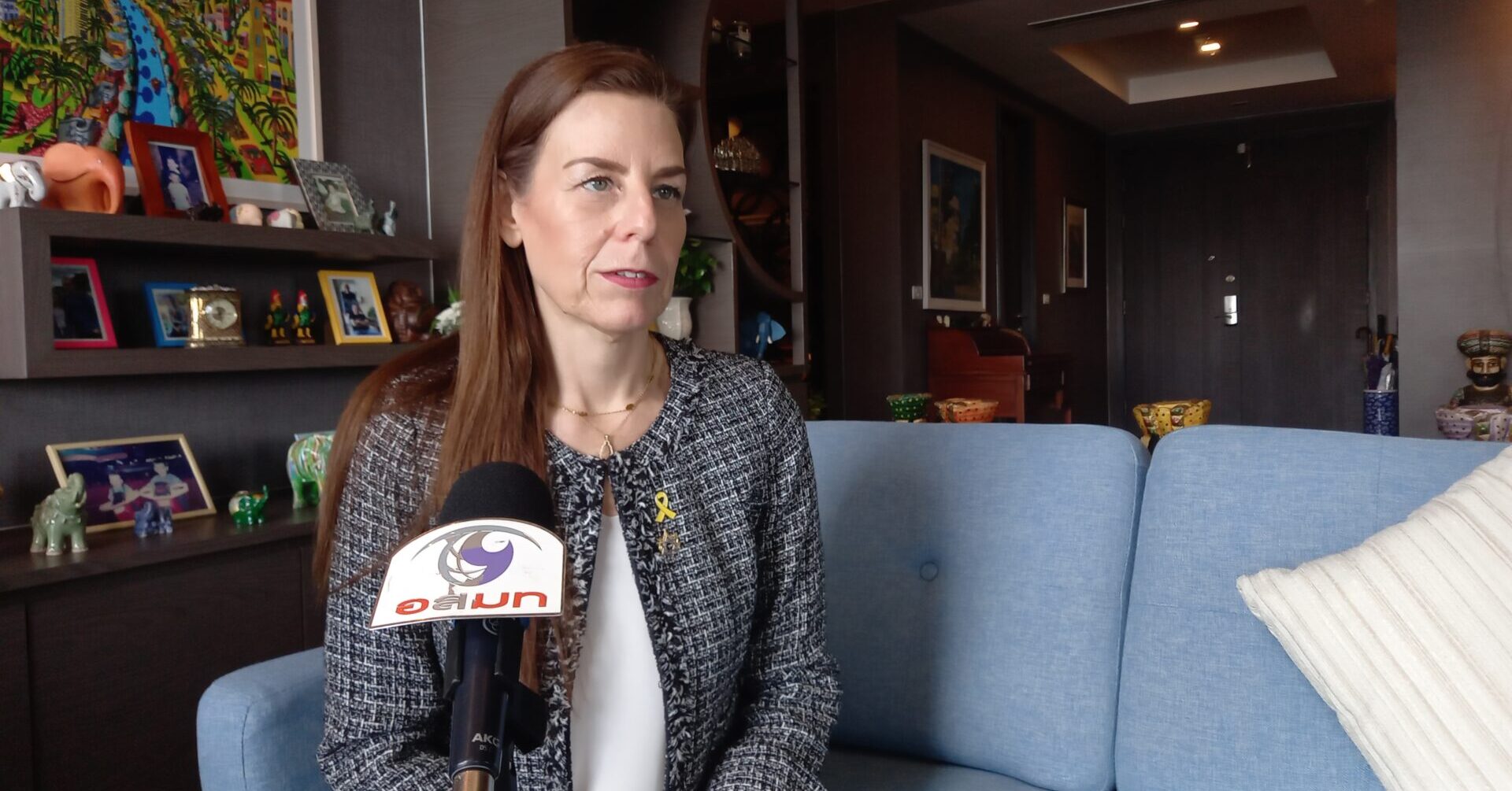 Israeli Ambassador gives interview